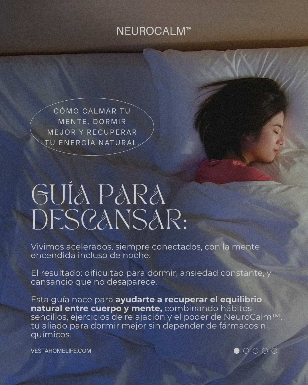 Previsualización del ebook